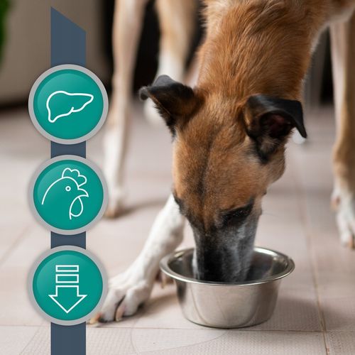 Mokra karma dla psów wsparcie wątroby kurczak Vet Expert Hepatic 6 x 400g na Arena.pl