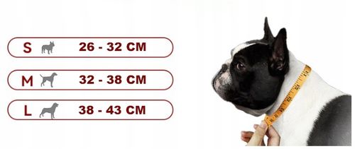 Obroża Uchwyt na Apple Airtag Dla Psa Kota Psów - S GRAY na Arena.pl