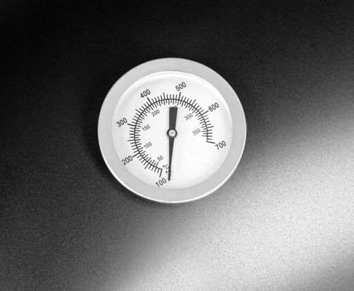 Activa Grill ogrodowy węglowy na Arena.pl