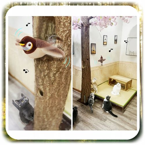 INTERAKTYWNA ZABAWKA DLA KOTA PLUSZOWY PTAK RUCHOMY PTASZEK + na Arena.pl