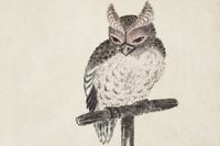 Plakat 45x30cm Owl 2, Hokusai Japoński Vintage do Salonu