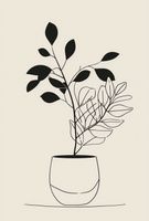 Plakat 61x90,5cm Prostota Doniczki