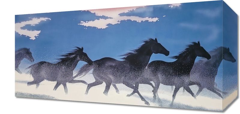 Obraz 40x20cm Wolność i Swoboda zdjęcie 1