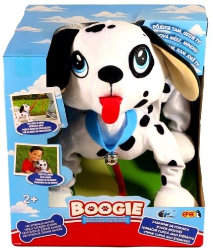 PIESEK BOOGIE -PSI ROZRABIAKA DALMATYŃCZYK EPEE na Arena.pl