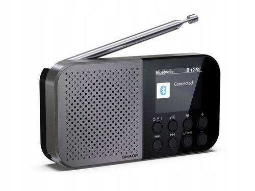 Radio przenośne SHARP Osaka DR-P520 Czarno-szary na Arena.pl