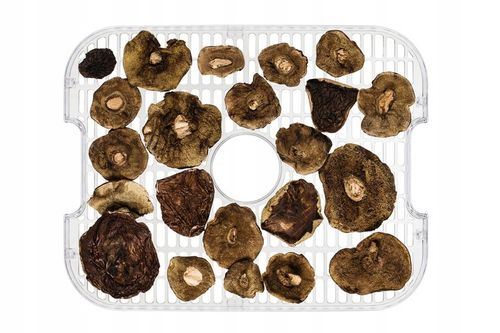 Suszarka spożywcza do GRZYBÓW OWOCÓW WARZYW MIĘSA INOX TERMOOBIEG 400W na Arena.pl