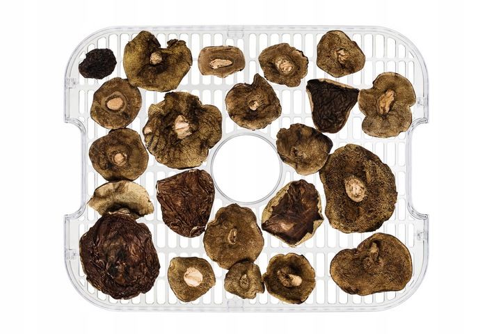 Suszarka spożywcza do GRZYBÓW OWOCÓW WARZYW MIĘSA INOX TERMOOBIEG 400W zdjęcie 8