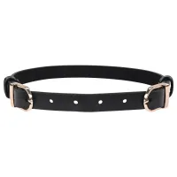 sportsheets sex & mischief double buckle collar czarna regulowana