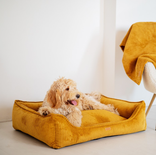 Ortopedyczne legowisko dla psa i kota MILANO MUSZTARDOWE M  – VISCO MEMORY na Arena.pl