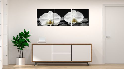 90X30 Obraz Na Prawdziwym Płótnie na Arena.pl