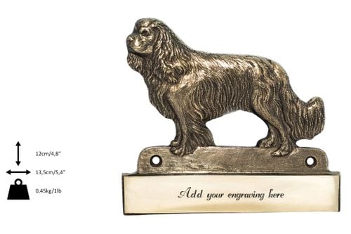 Cavalier King Charles Spaniel - tabliczka - 1671 na Arena.pl