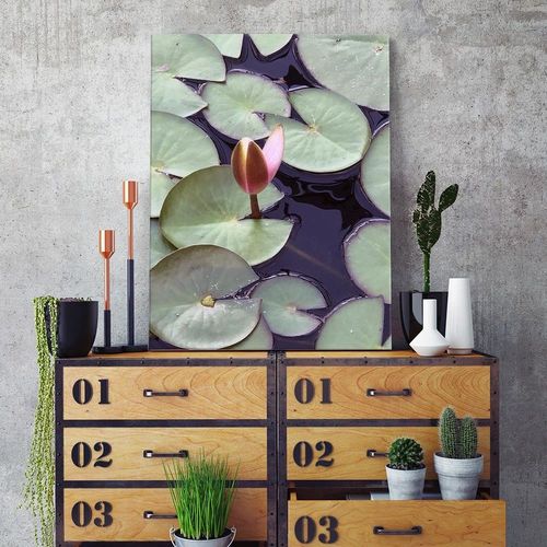 Deco Panel, Liście nenufarów 60x90 na Arena.pl