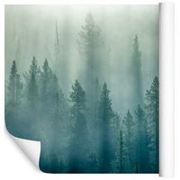 Fototapeta Mglisty Las ZIELEŃ do Salonu 3D 300x210