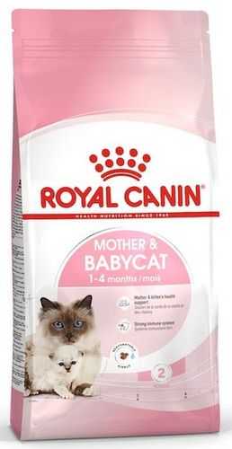 Zbilansowana karma dla kociąt, kotek w ciąży i karmiących Royal Canin 4kg na Arena.pl