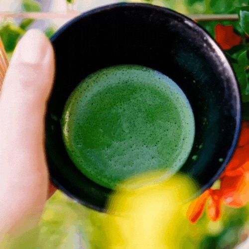 Certyfikowana Japońska Matcha Premium 100g na Arena.pl