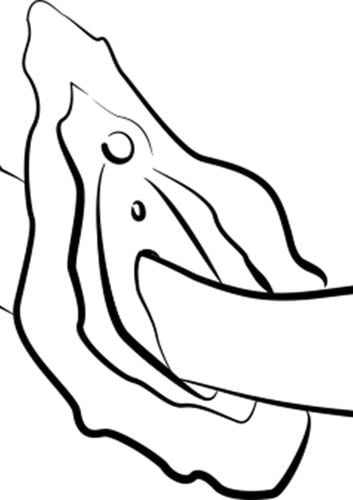 romp hype - red na Arena.pl