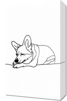 Obraz 30x50cm Śpiący Corgacz