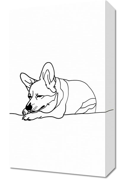 Obraz 30x50cm Śpiący Corgacz zdjęcie 1