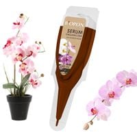 Biopon Bopon Natural Serum do storczyków Aplikator Nawóz Odżywka 40ml