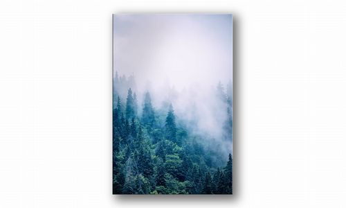 OBRAZ NA PŁÓTNIE 053 Las we mgle 30x40cm na Arena.pl