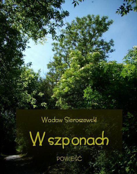 (epub, mobi) W szponach zdjęcie 1