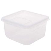Terrario Insect Box Compact 12x12x7cm