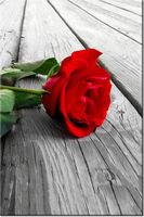 100 70CM OBRAZ PŁÓTNO RÓŻA DESKACH PŁÓTNO RAMA