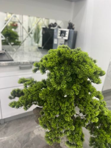 Sztuczne drzewko Bonsai Premium 120x75x140 na Arena.pl