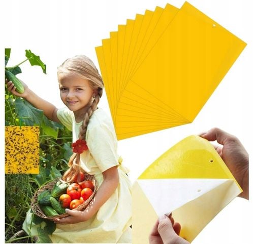 Żółte tablice lepowe na ziemiórki 10 szt. Dwustronny Lep, Biodegradowalne na Arena.pl