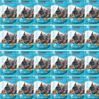 Saszetki dla kota Super Benek Urinary 24x100g