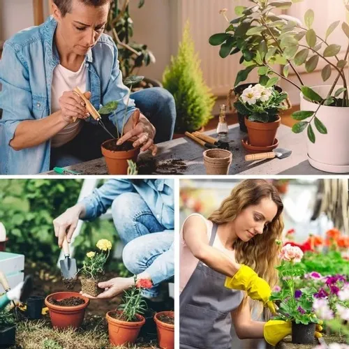 3-CZĘŚCIOWY MINI ZESTAW NARZĘDZI OGRODOWYCH NARZĘDZIA AKCESORIA DO OGRODU na Arena.pl