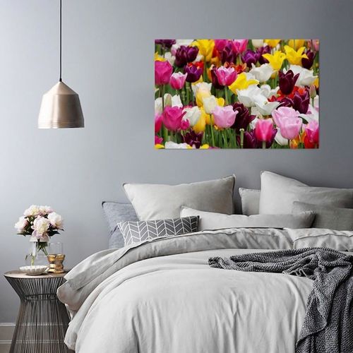 Obraz na płótnie - Canvas, Tulipany 4 70x50 na Arena.pl
