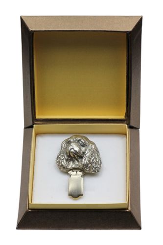 Cavalier King Charles Spaniel - klips - 2548 na Arena.pl