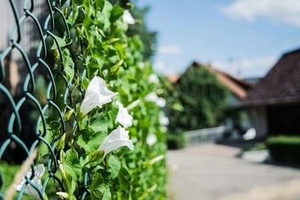 SIATKA OGRODZENIOWA 125 cm OCYNK + PCV ZIELONA drut 3,0 mm rolka 10mb 1,25m na Arena.pl