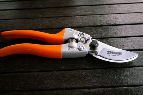 SEKATOR DO GAŁĘZI I KRZEWÓW OGRODOWY SHARK G2 RĘCZNY NOŻYCOWY 20,5 cm lekki na Arena.pl