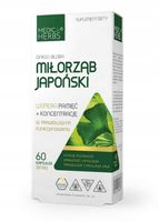 Medica MIŁORZĄB JAPOŃSKI Ginkgo Biloba PAMIĘĆ 60k