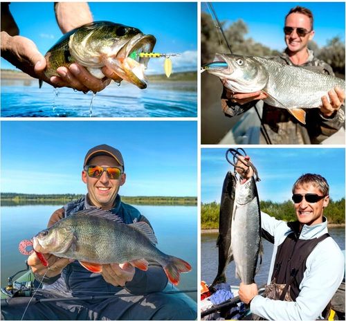 Skrzynka Wędkarska Zestaw Przynęt na Ryby Akcesoria Haczyk Spławik na Arena.pl