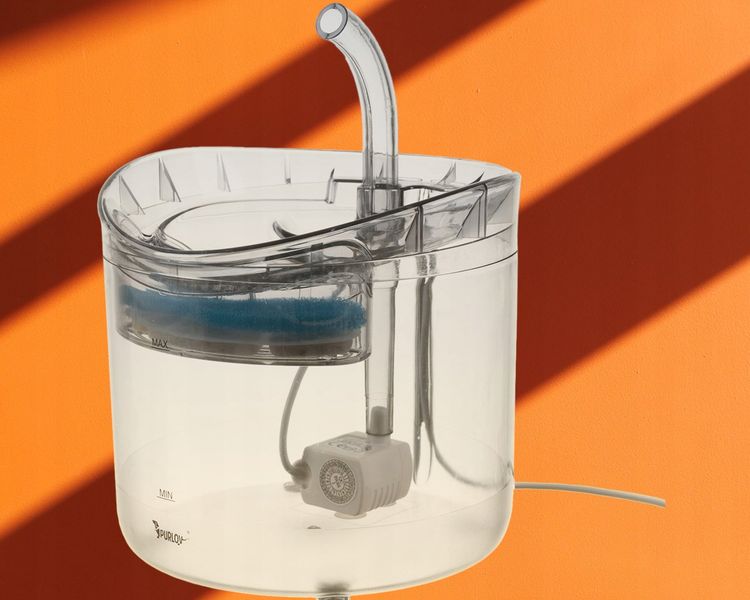 POIDEŁKO DOZOWNIK AUTOMAT FONTANNA DLA KOTA PSA zdjęcie 2