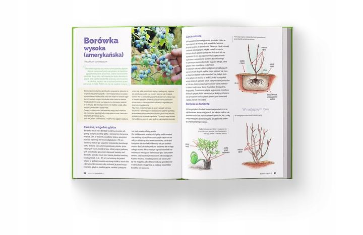 SZKOŁA CIĘCIA 2 Alicja Grabowska Lucyna Grabowska zdjęcie 3