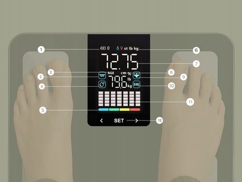 Waga Łazienkowa Elektroniczna Alpha - Aplikacja po Polsku Analityczna na Arena.pl