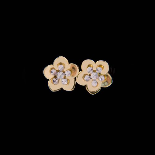 Złote Sztyfty Kwiatek na Arena.pl