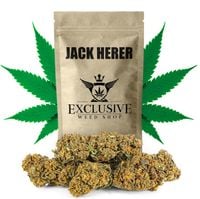 Susz konopny Jack Herer CBD Exclusive Weed 100g