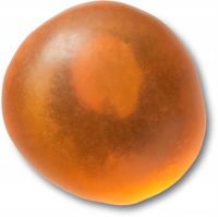 Przypinka Crocs Jibbitz Pin Do Butów Matte Stone 4