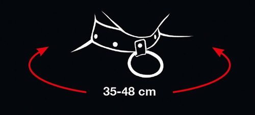 collar and leash na Arena.pl
