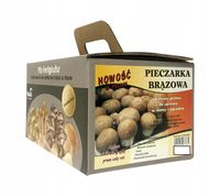 Grzyby w Domu Ogrodzie Pieczarka Brązowa 5kg