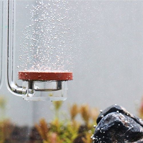 DYFUZOR CERAMICZNY CO2 AKWARIUM MIKRO BĄBELKI na Arena.pl