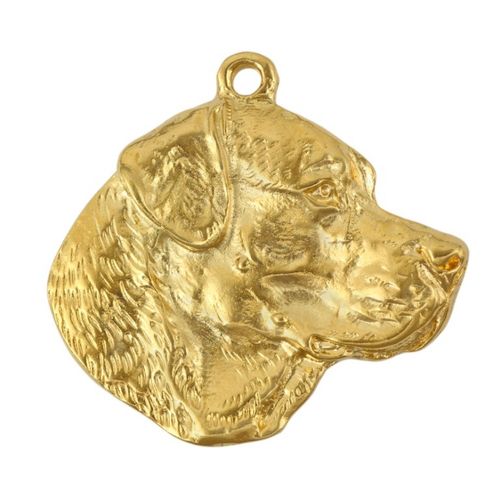 Labrador Retriever - breloczek - 2416 na Arena.pl