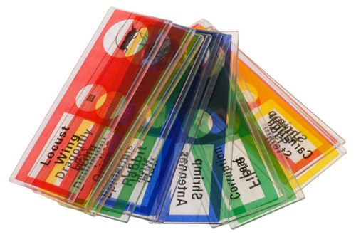 Teleskop Z Kamerą na Arena.pl