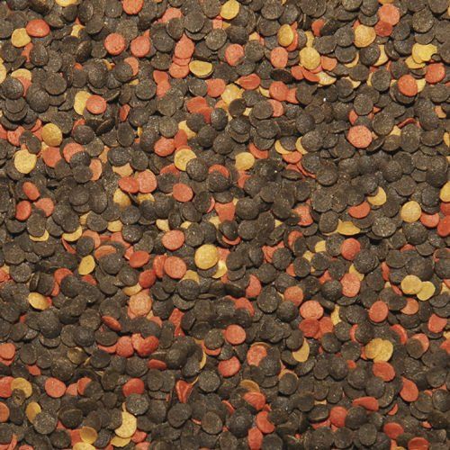 tropical malawi chips 1000ml na Arena.pl