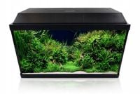 INVITAL LED zestaw 60L z filtrem i grzałką